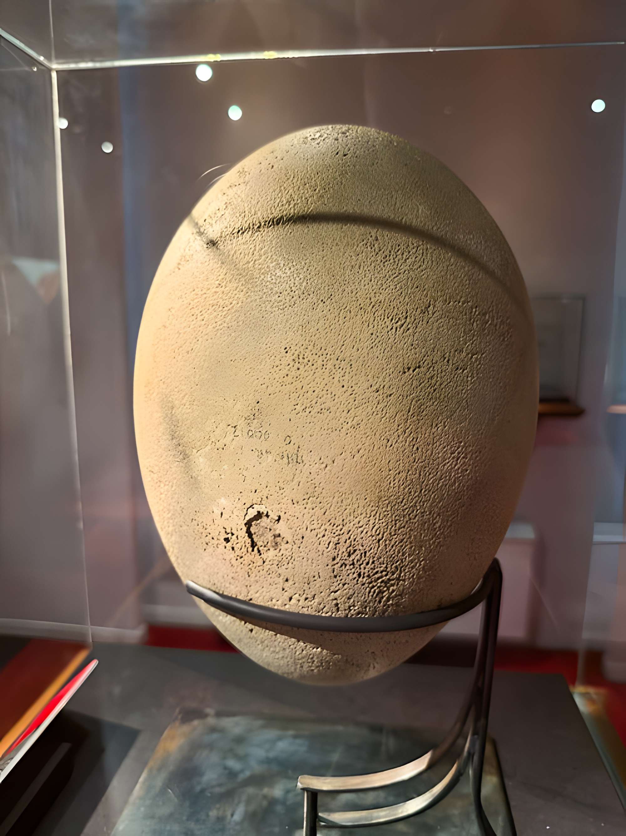 Muséum d'histoire naturelle de Grenoble