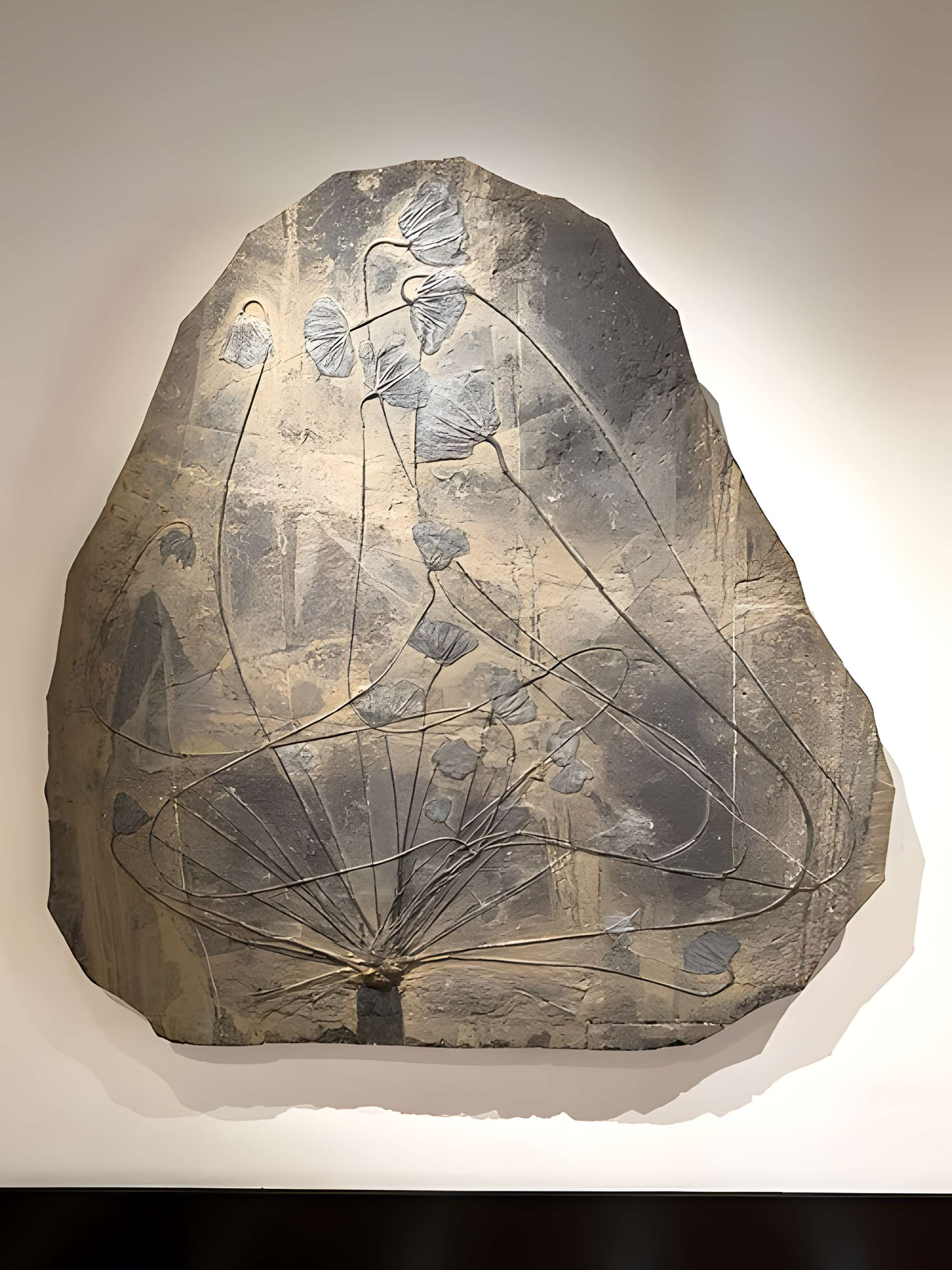 Muséum d'histoire naturelle de Grenoble