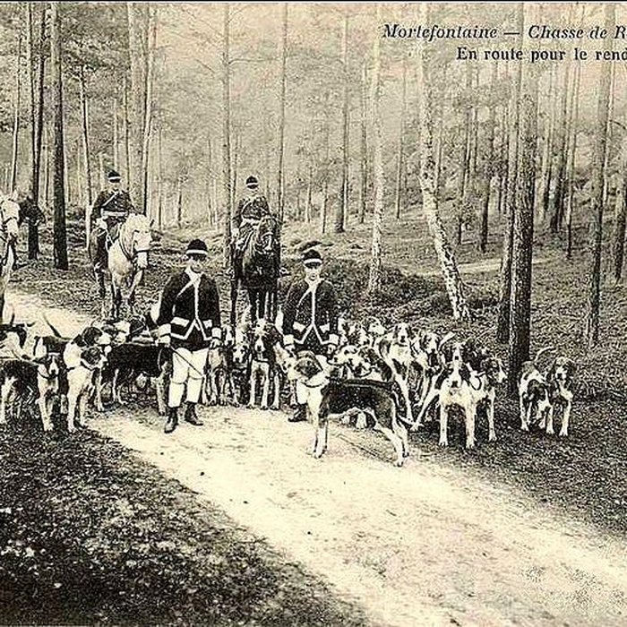 Photo de Château de Vallière