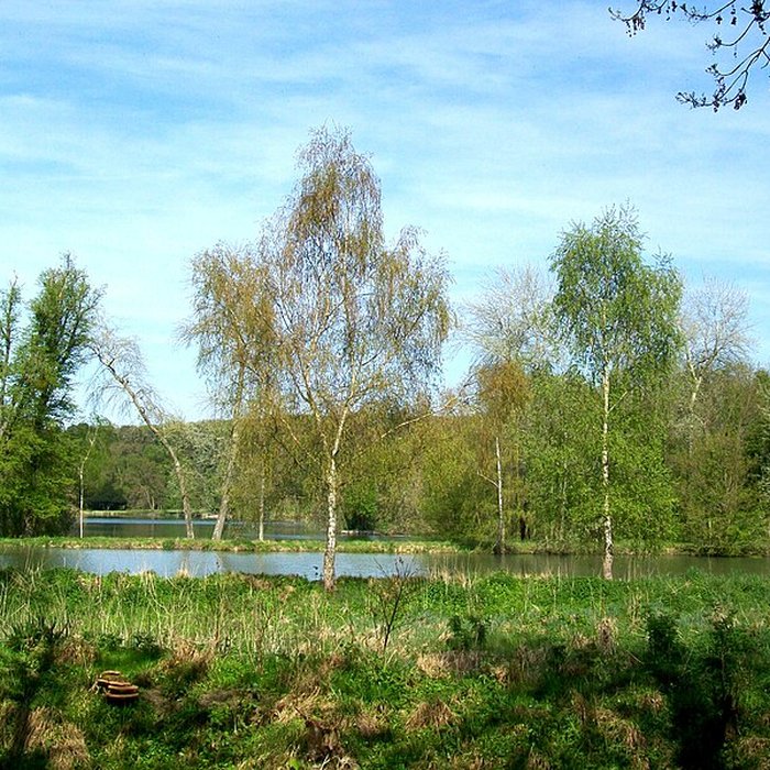 Photo de Château de Vallière