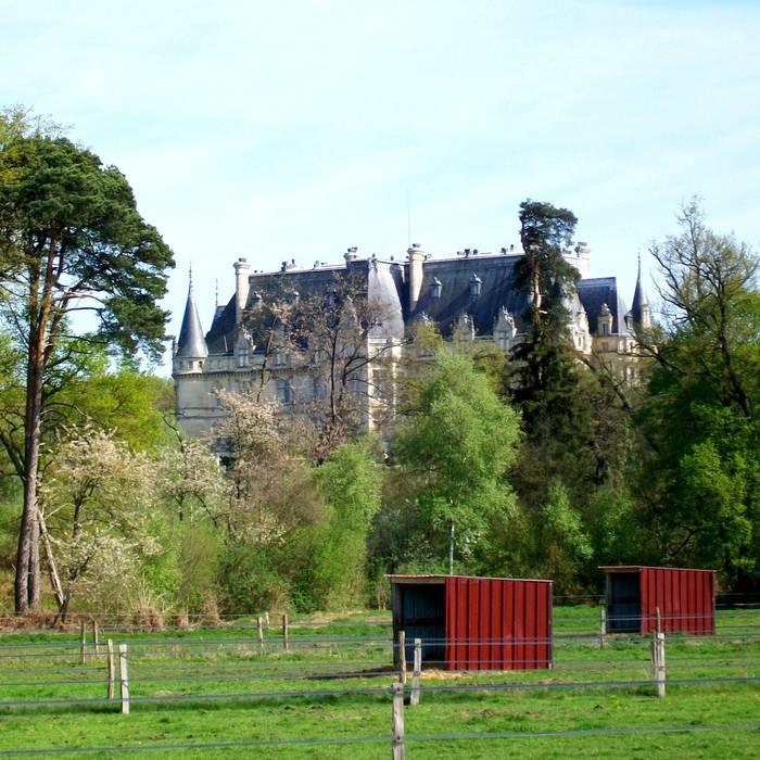 Photo de Château de Vallière