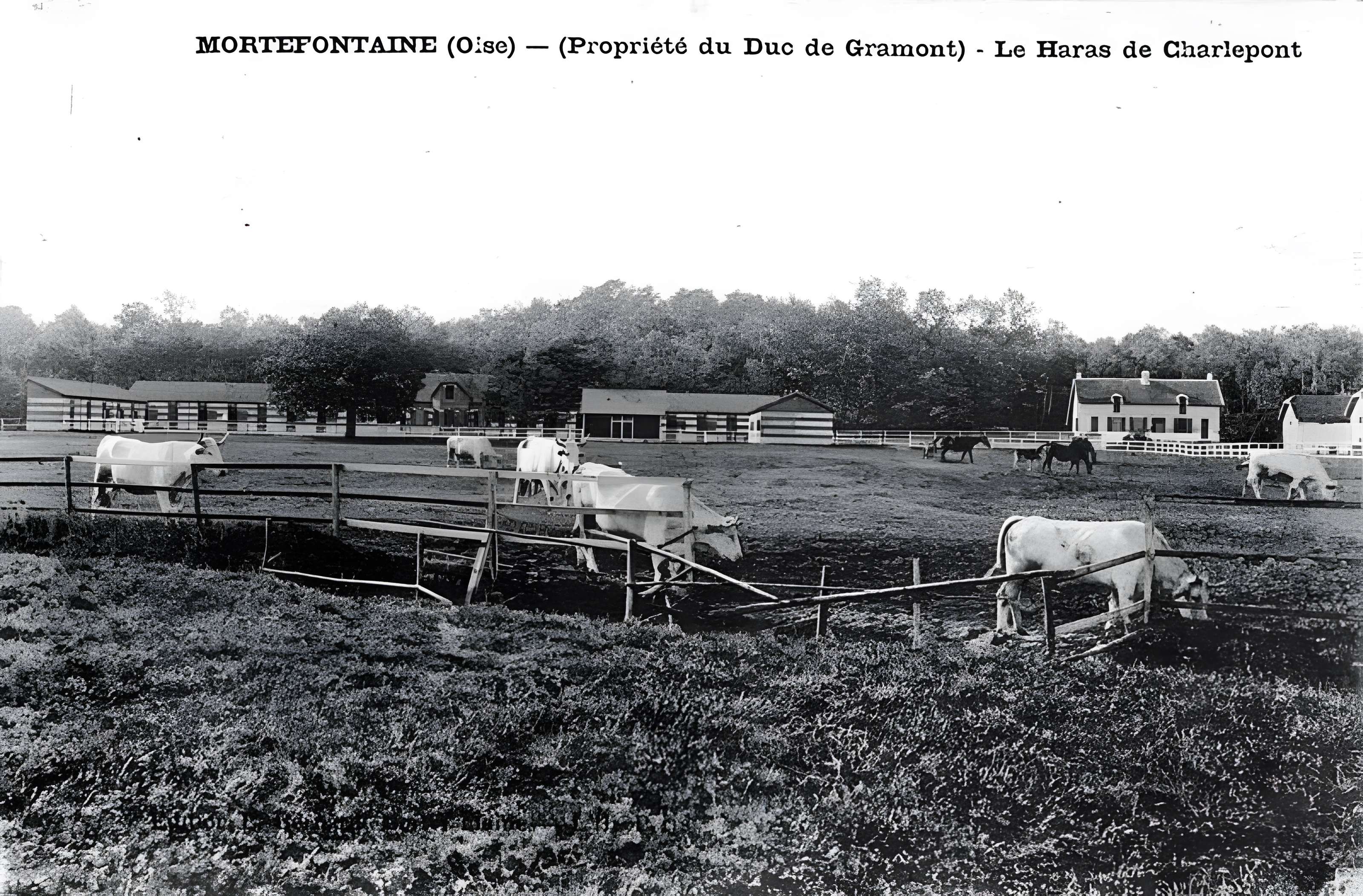 Château de Vallière