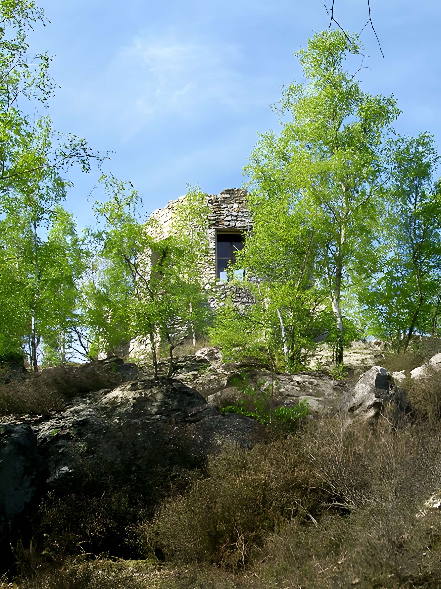 Château de Vallière