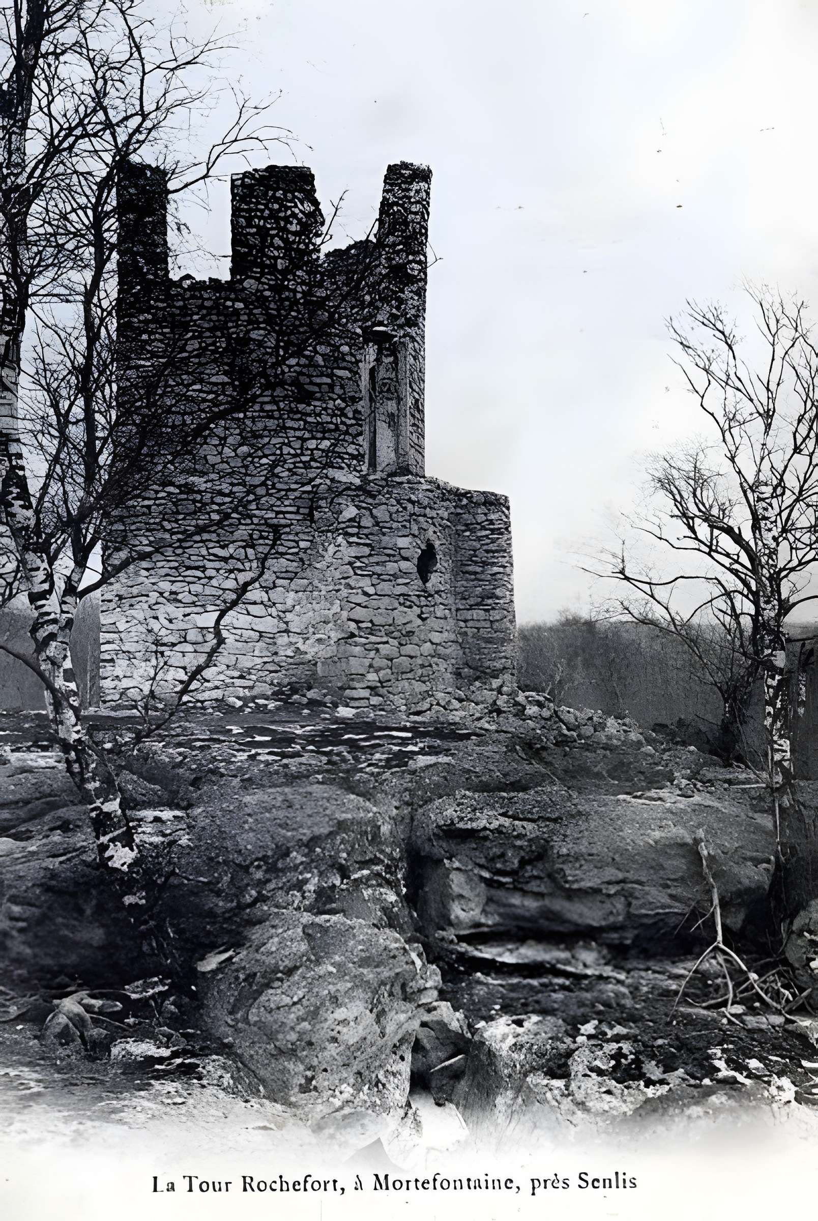 Château de Vallière