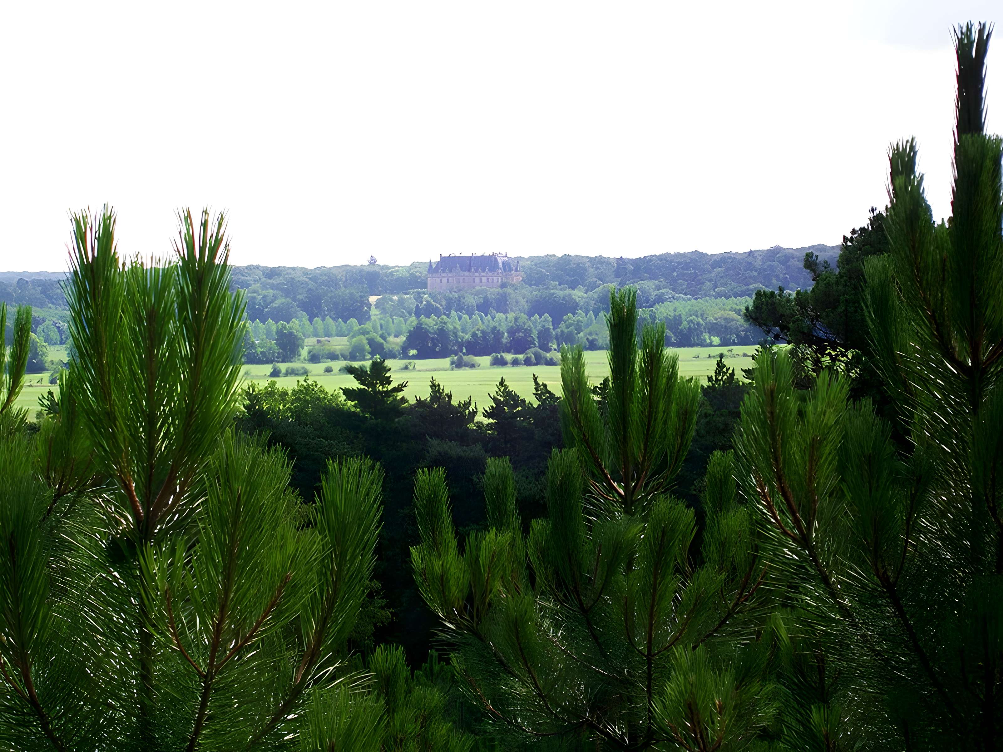 Château de Vallière