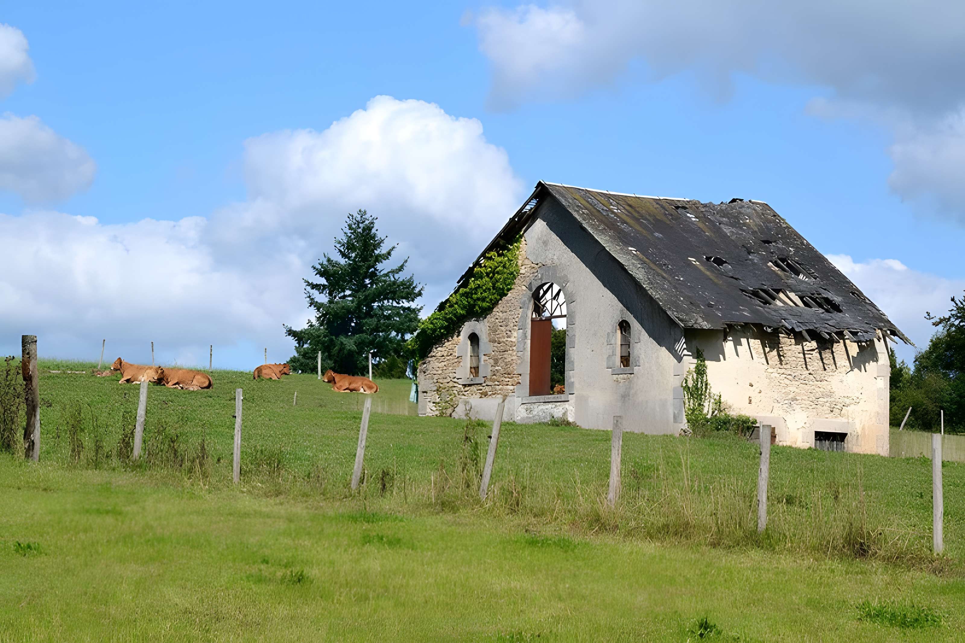 Domaine du château de Valmate