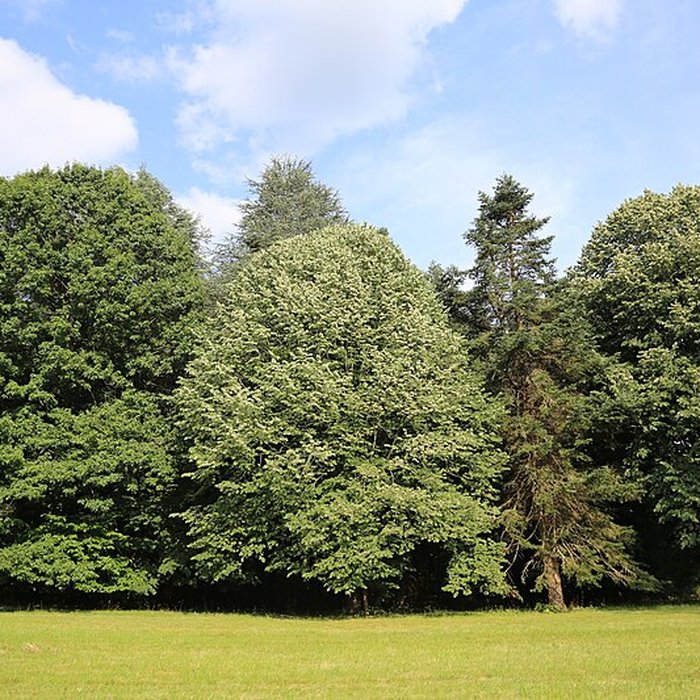 Photo de Château de Valmirande