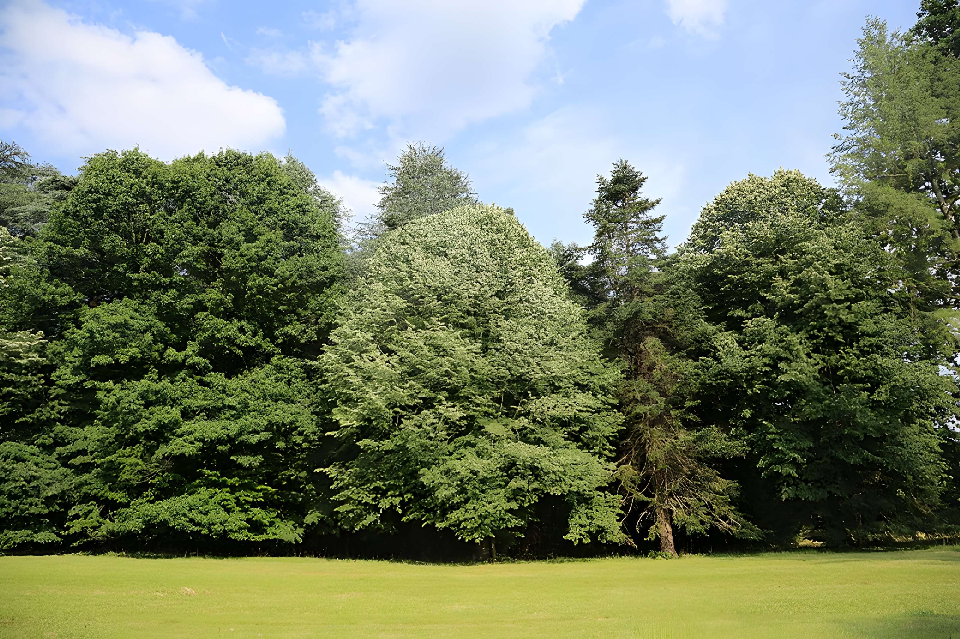 Château de Valmirande