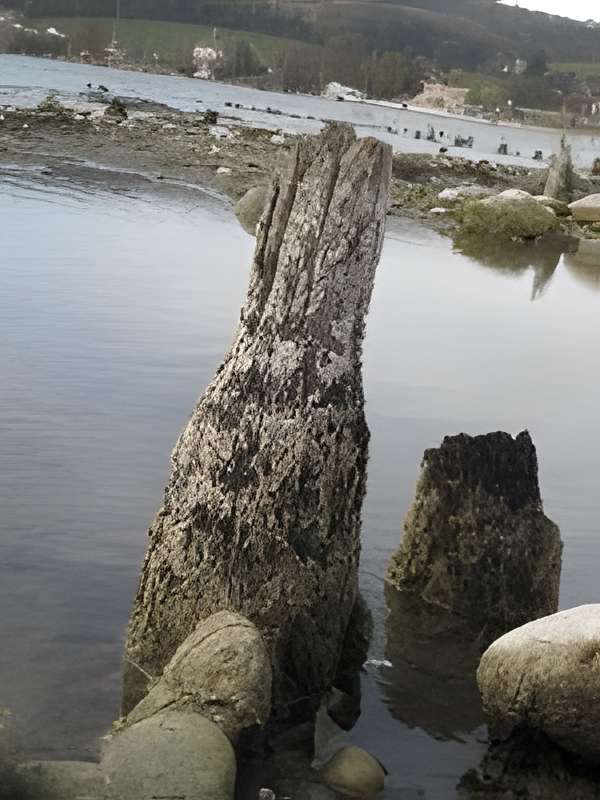 Musée archéologique du Lac de Paladru 
