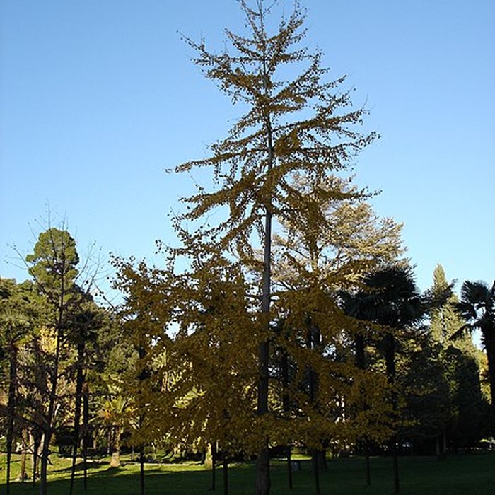 Photo de Châteaux de Valrose, actuellement Université de Nice Faculté des Sciences