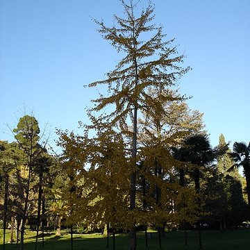 Châteaux de Valrose, actuellement Université de Nice Faculté des Sciences