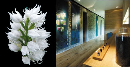 Musée de la flore du Vercors 