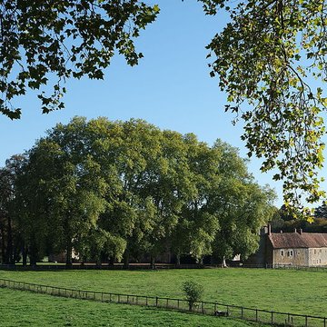 Château de Vandenesse