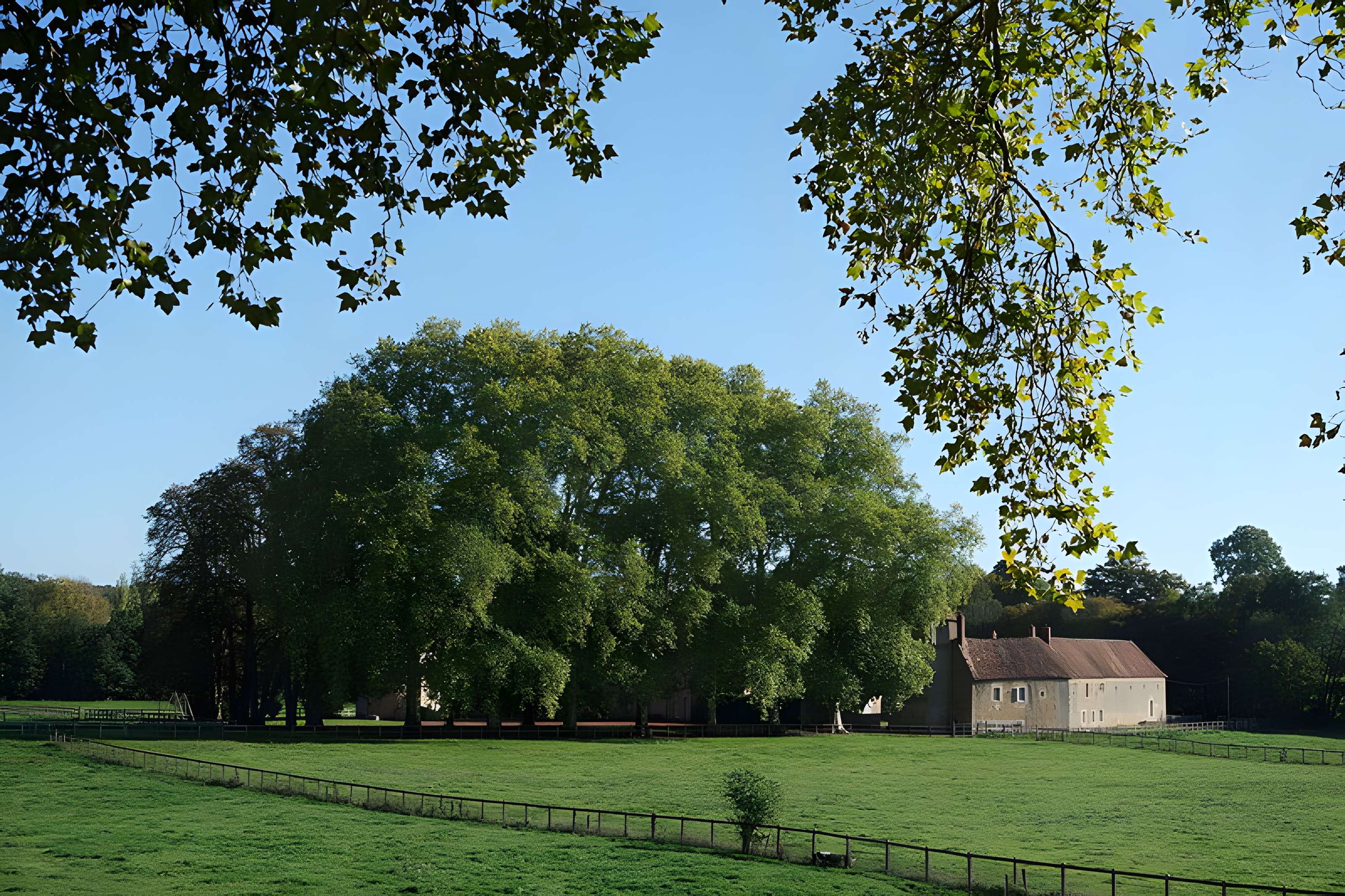 Château de Vandenesse