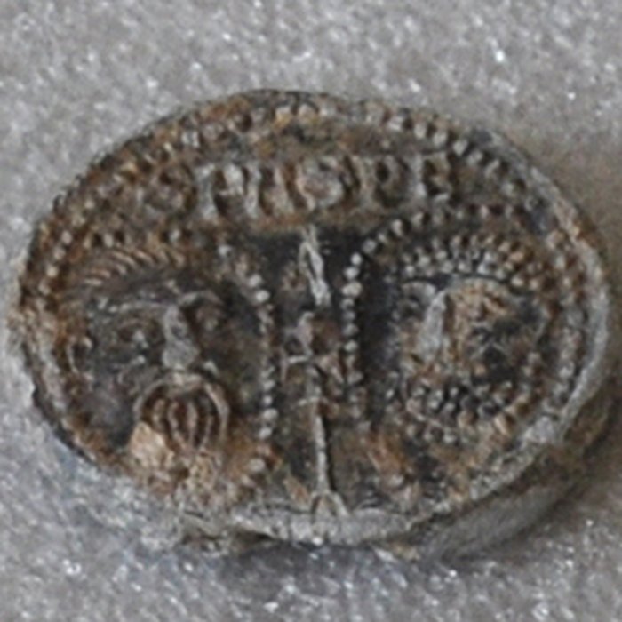 Photo de Musée des beaux-arts et darchéologie de Vienne