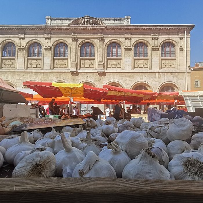 Photo de Musée des beaux-arts et darchéologie de Vienne