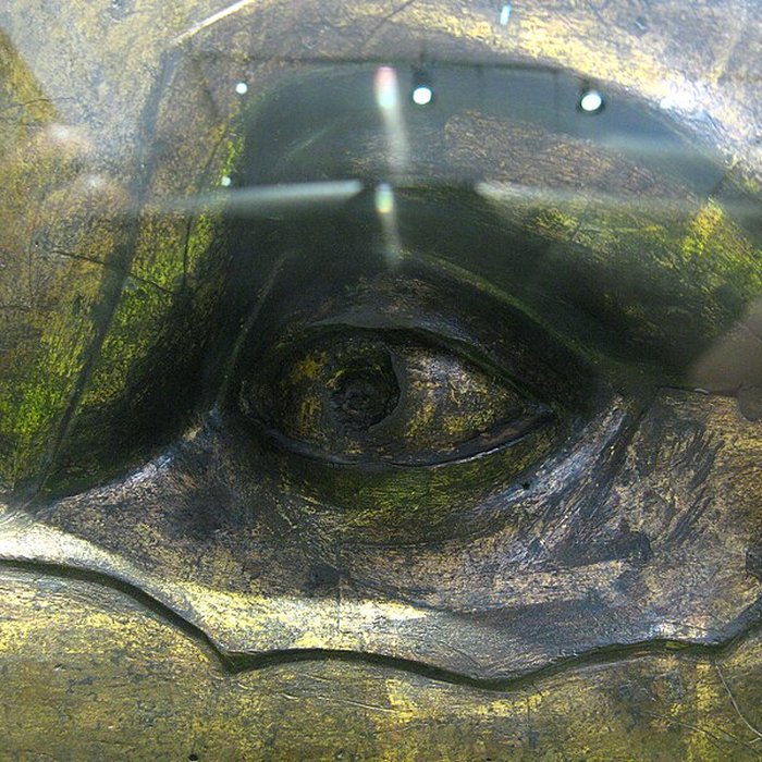 Photo de Musée des beaux-arts et darchéologie de Vienne