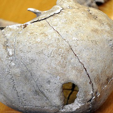 Musée des beaux-arts et darchéologie de Vienne