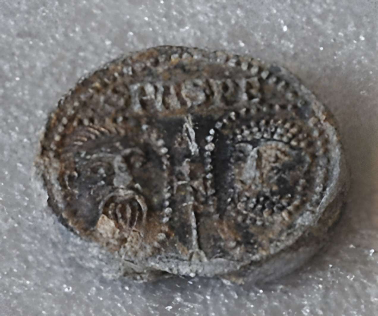 Musée des beaux-arts et d'archéologie de Vienne