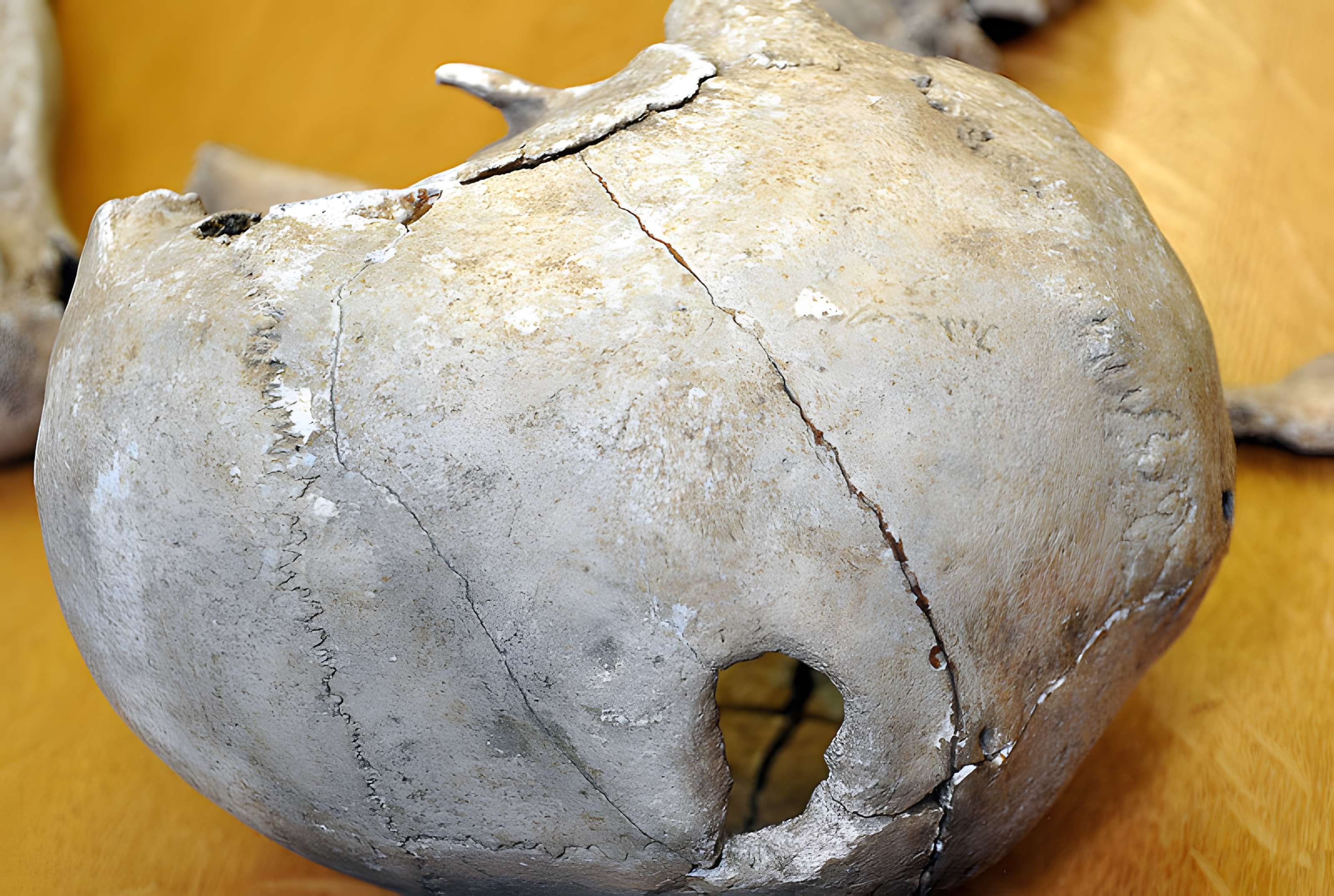 Musée des beaux-arts et d'archéologie de Vienne