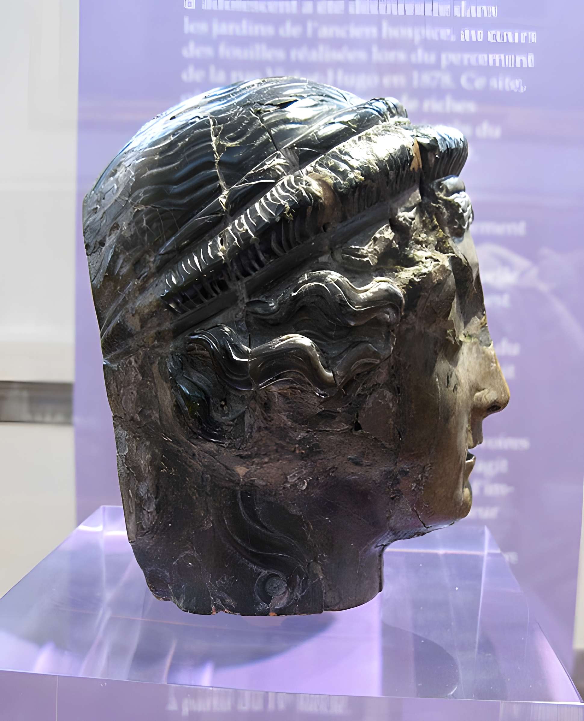 Musée des beaux-arts et d'archéologie de Vienne