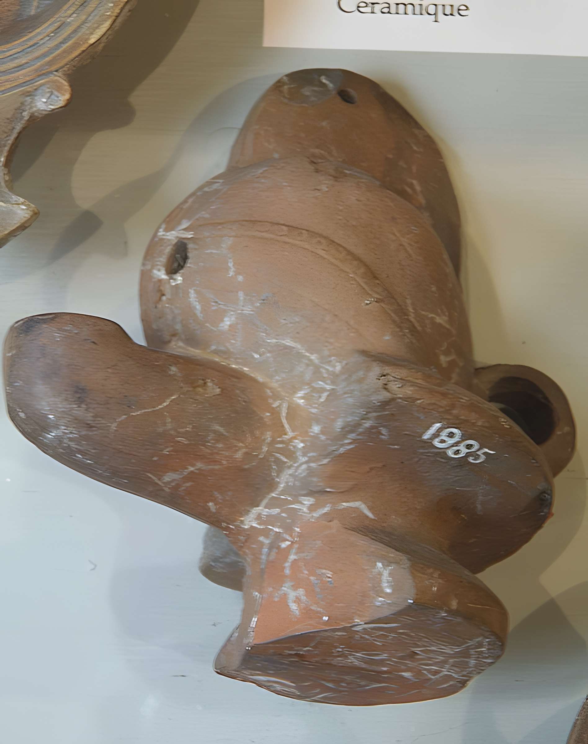 Musée des beaux-arts et d'archéologie de Vienne