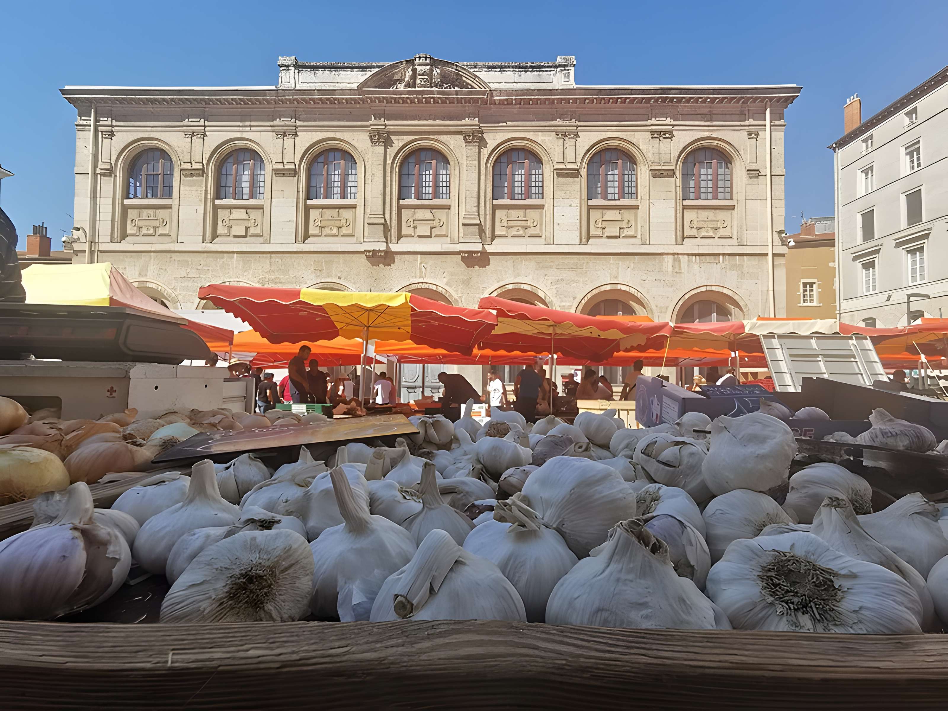 Musée des beaux-arts et d'archéologie de Vienne