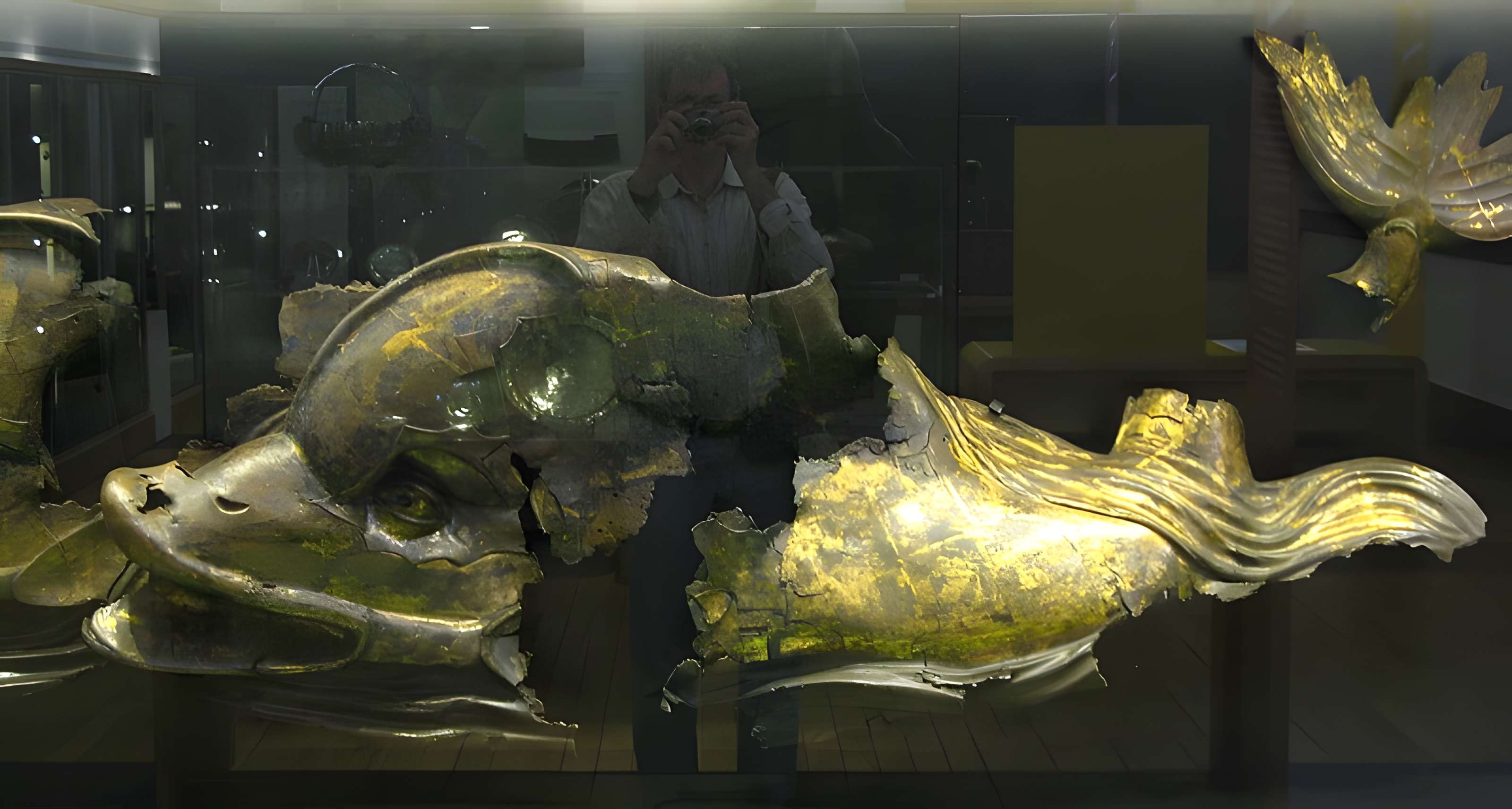 Musée des beaux-arts et d'archéologie de Vienne