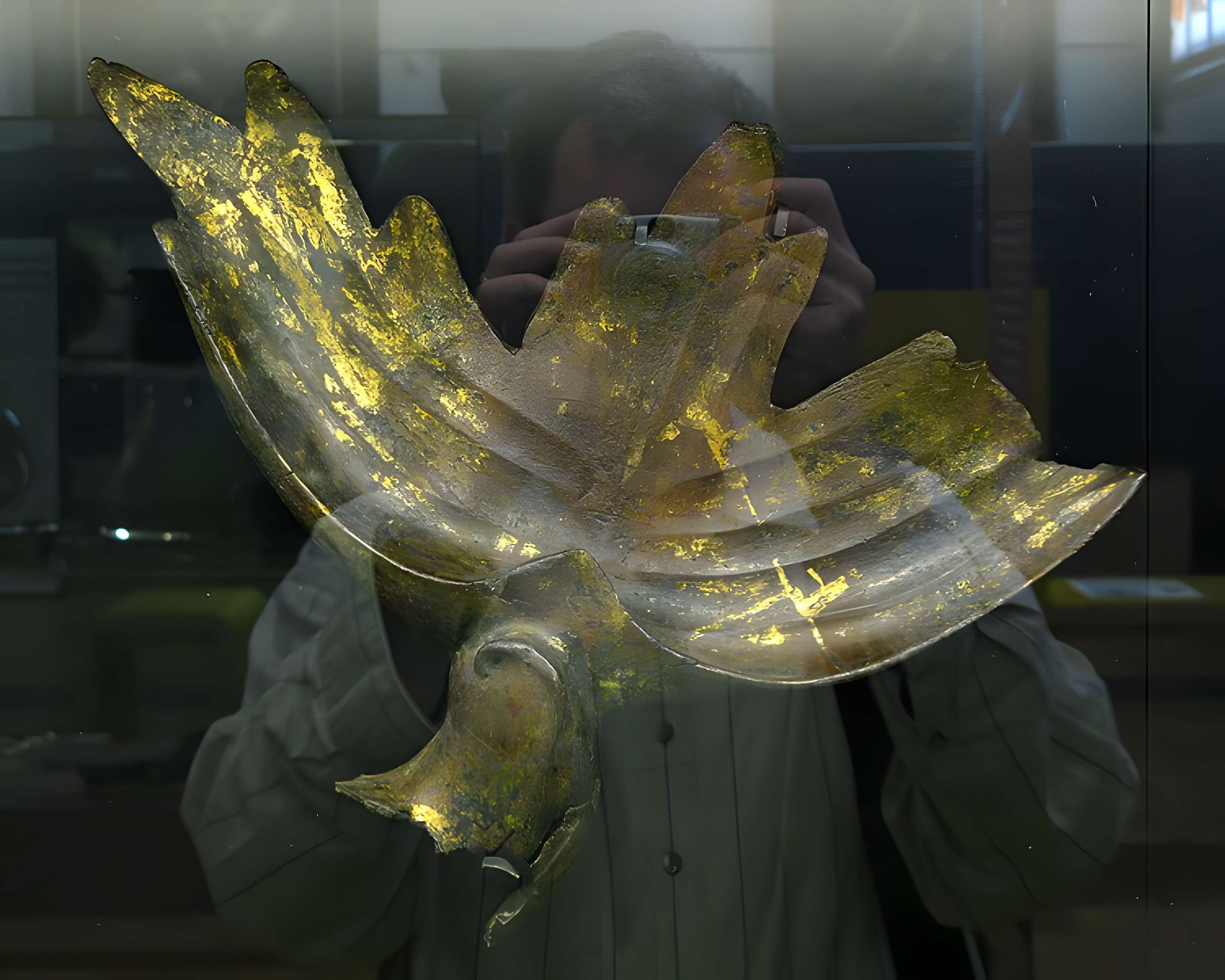 Musée des beaux-arts et d'archéologie de Vienne