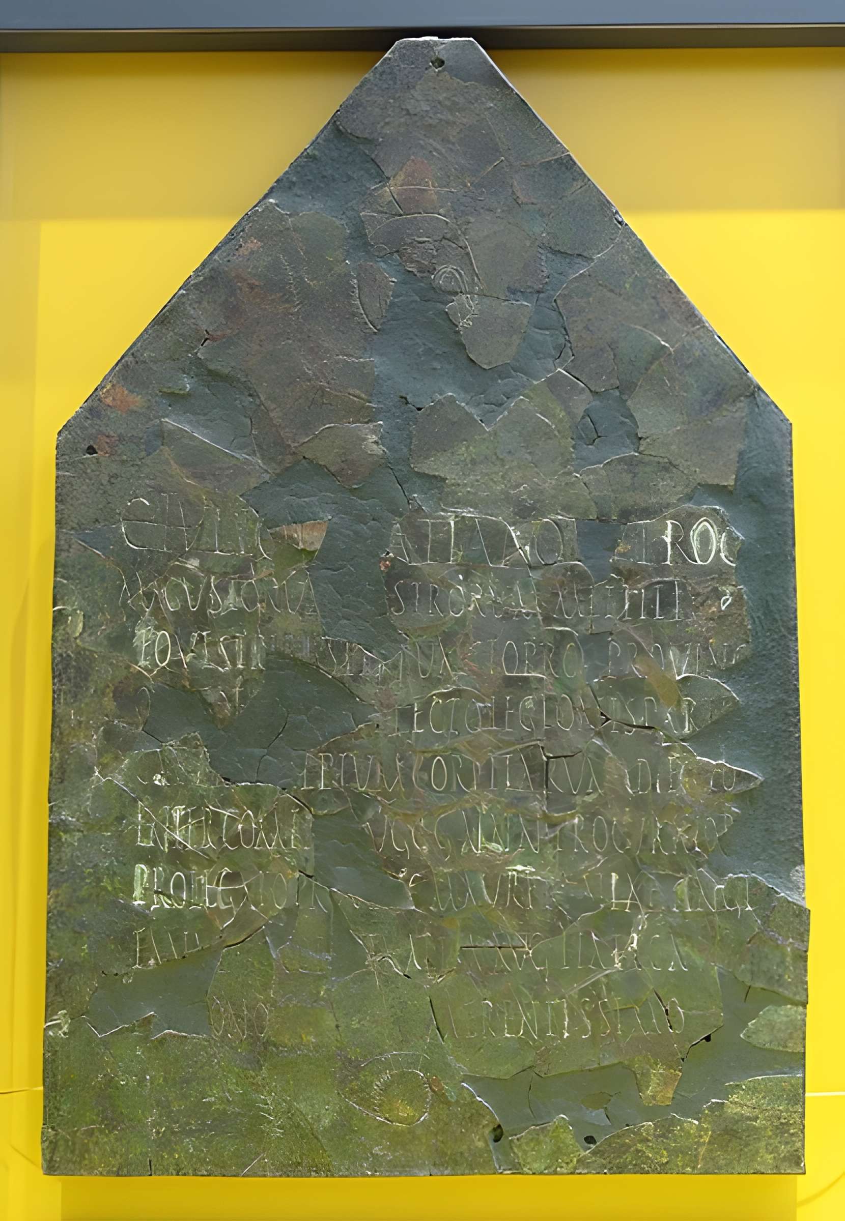 Musée des beaux-arts et d'archéologie de Vienne