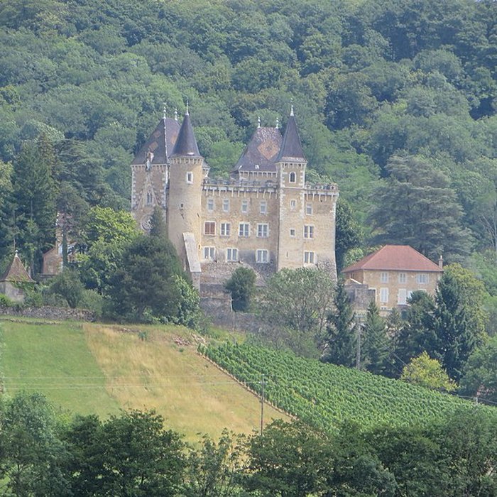 Photo de Château de Varey