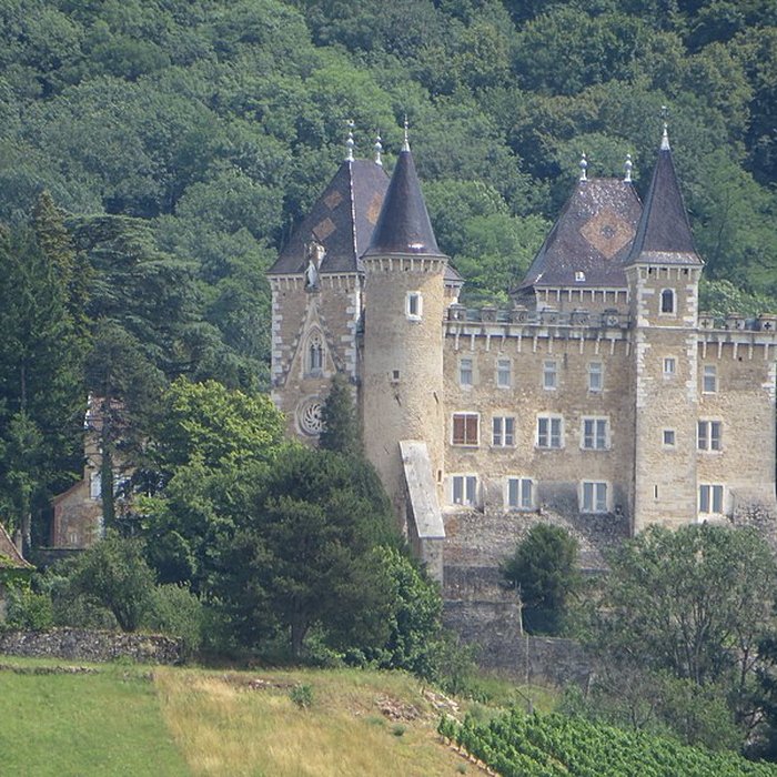 Photo de Château de Varey