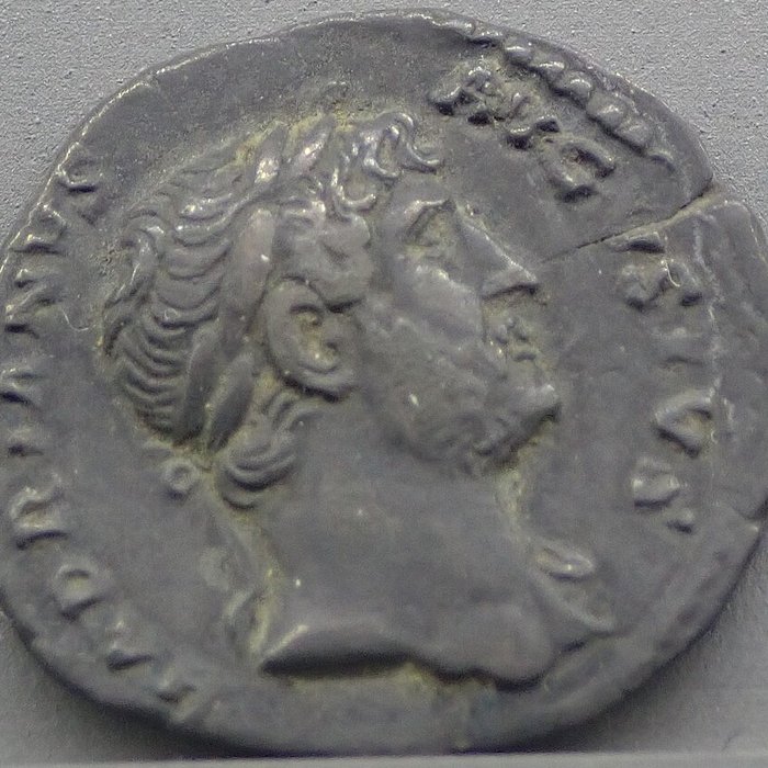 Photo de Musée des antiquités gallo-romaines