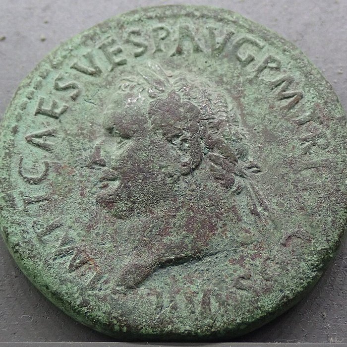 Photo de Musée des antiquités gallo-romaines