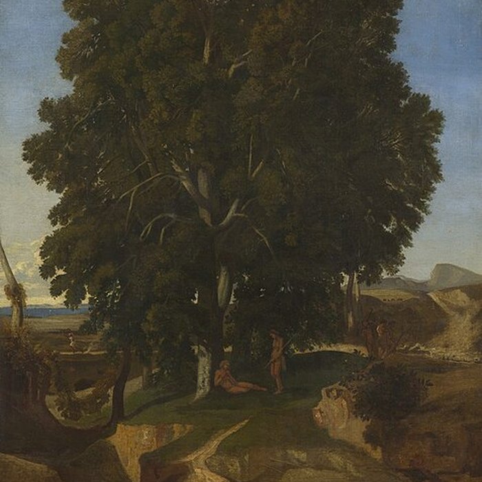 Photo de Musée dart moderne et contemporain de Saint-Étienne