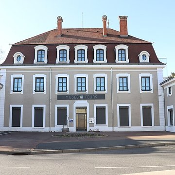 Musée de Feurs