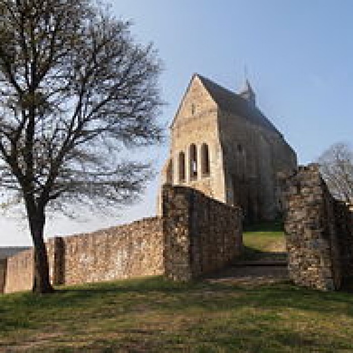 Photo de Château de Vauguillain