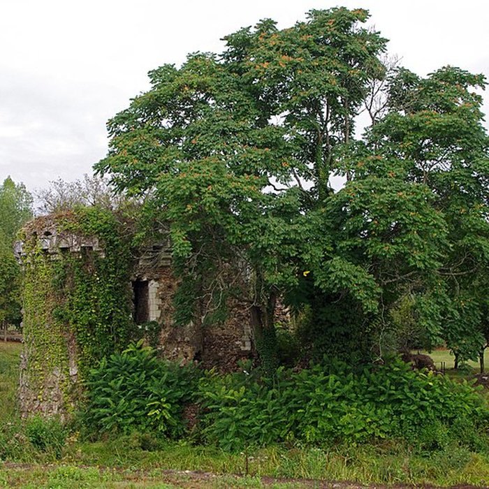 Photo de Château de Vaujours