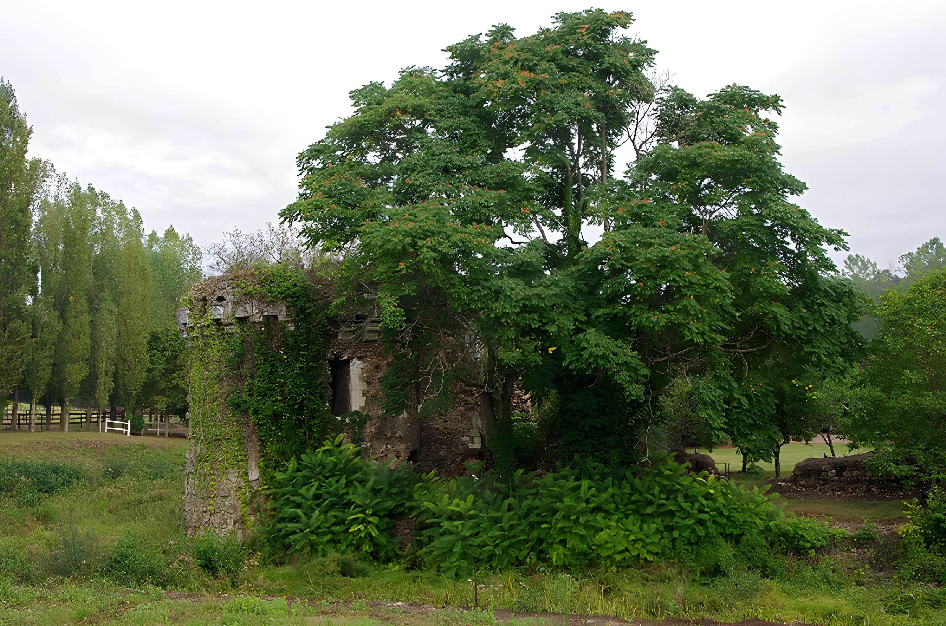 Château de Vaujours