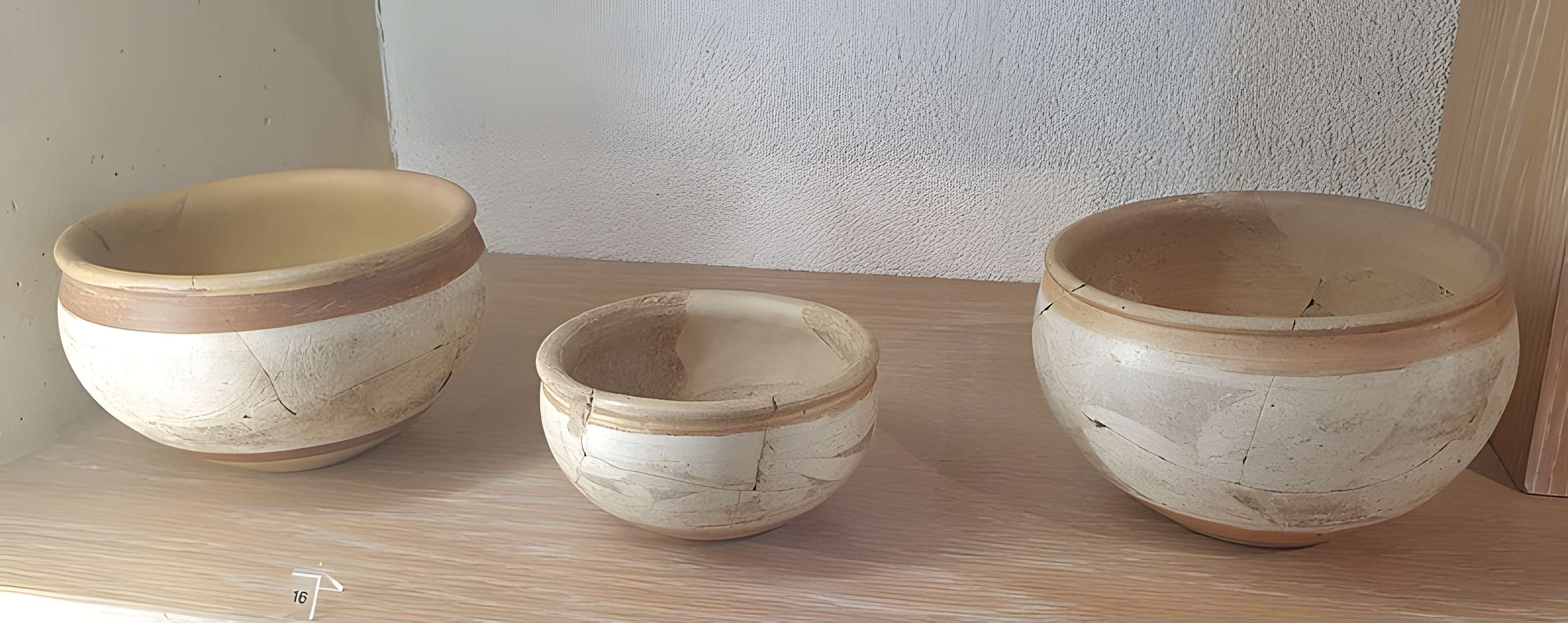 Musée des beaux-arts et d'archéologie Joseph-Déchelette