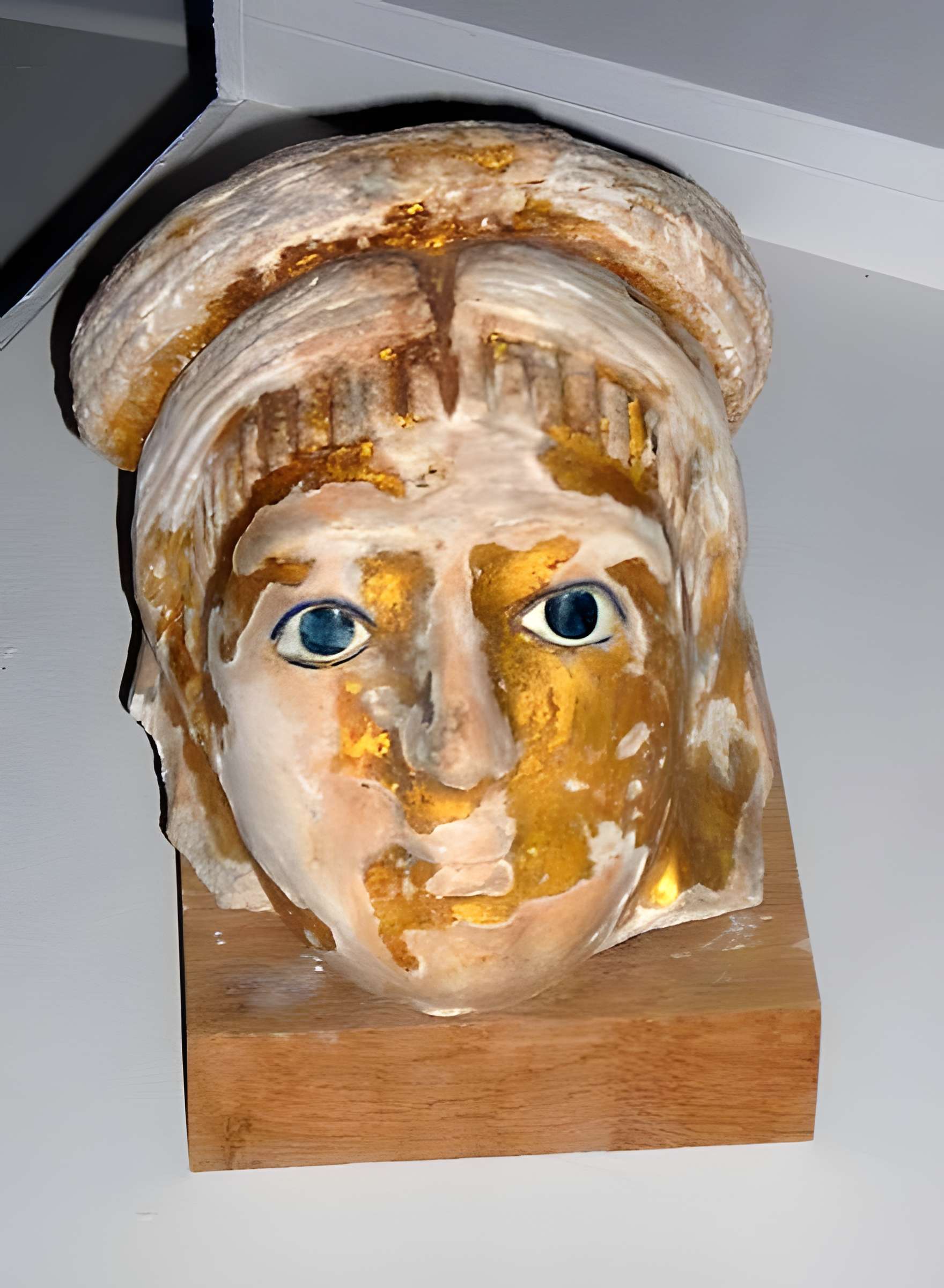 Musée des beaux-arts et d'archéologie Joseph-Déchelette