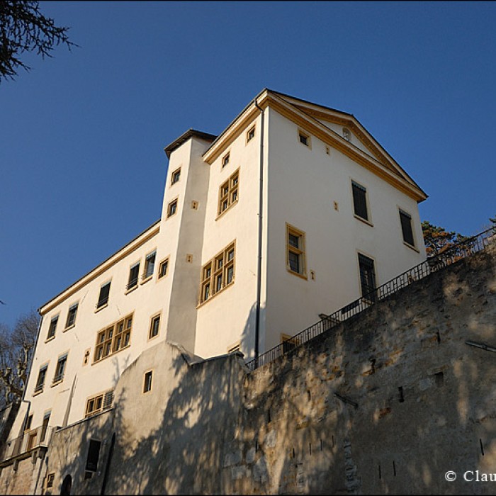 Photo de Maison de la Bréda, dite maison Pauline Jaricot