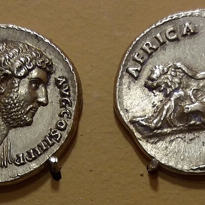 Photo de Musée dart contemporain de Lyon