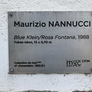 Musée dart contemporain de Lyon