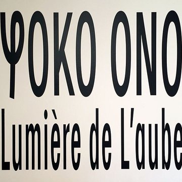 Musée dart contemporain de Lyon