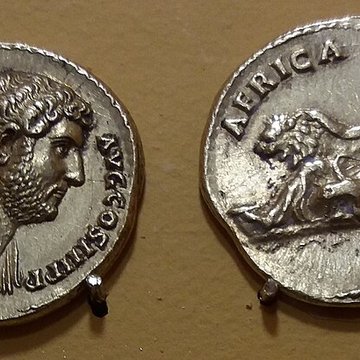 Musée dart contemporain de Lyon