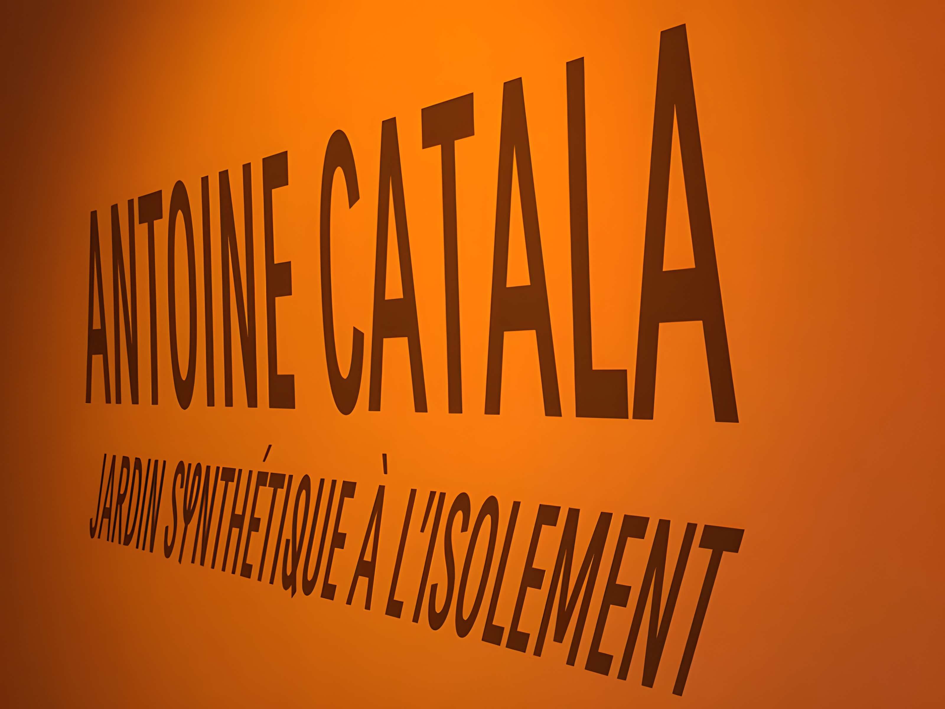 Musée d'art contemporain de Lyon