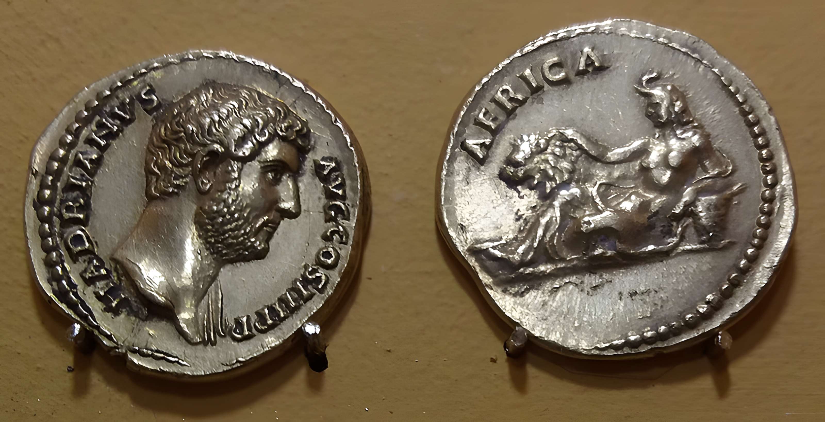 Musée d'art contemporain de Lyon