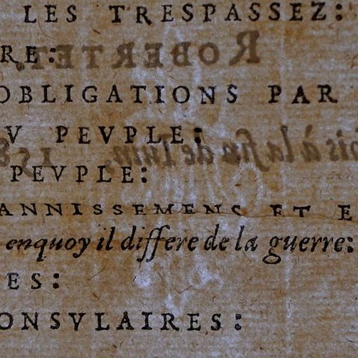 Photo de Musée des beaux-arts de Lyon