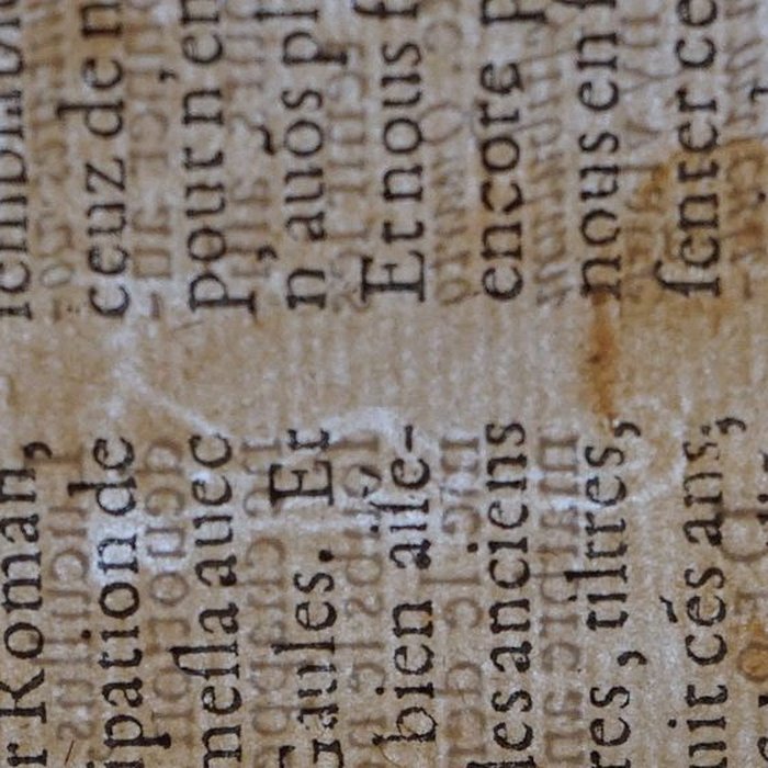 Photo de Musée des beaux-arts de Lyon